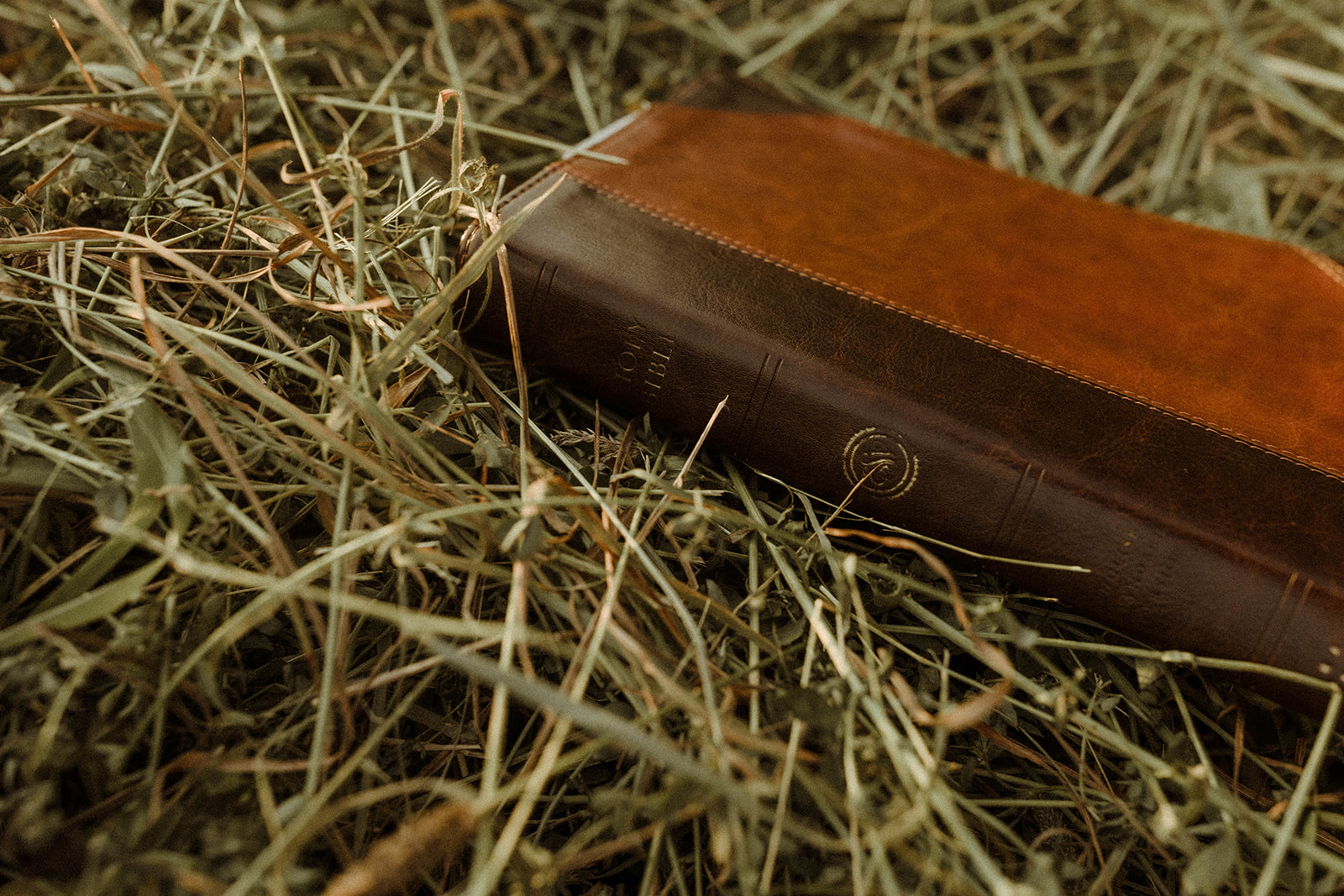 Bible lying in a field during golden hour couples photoshoot!