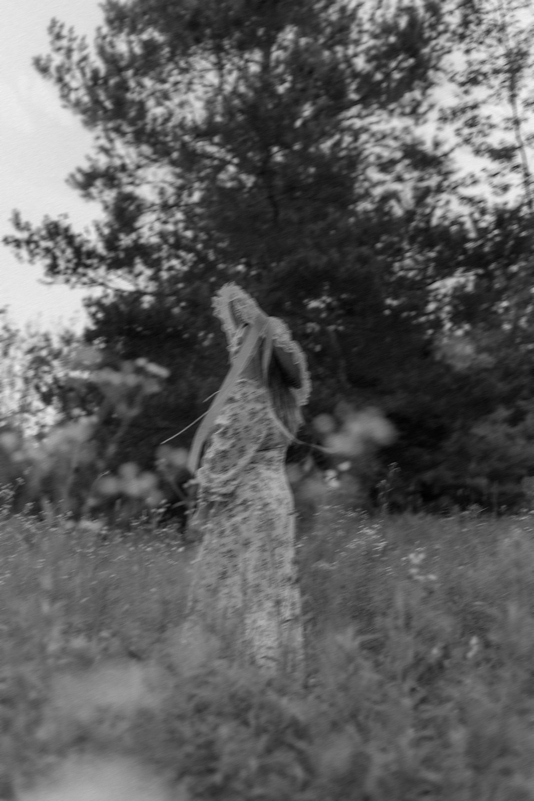 stunning young lady poses in field for her black and white creative self portrait photos
