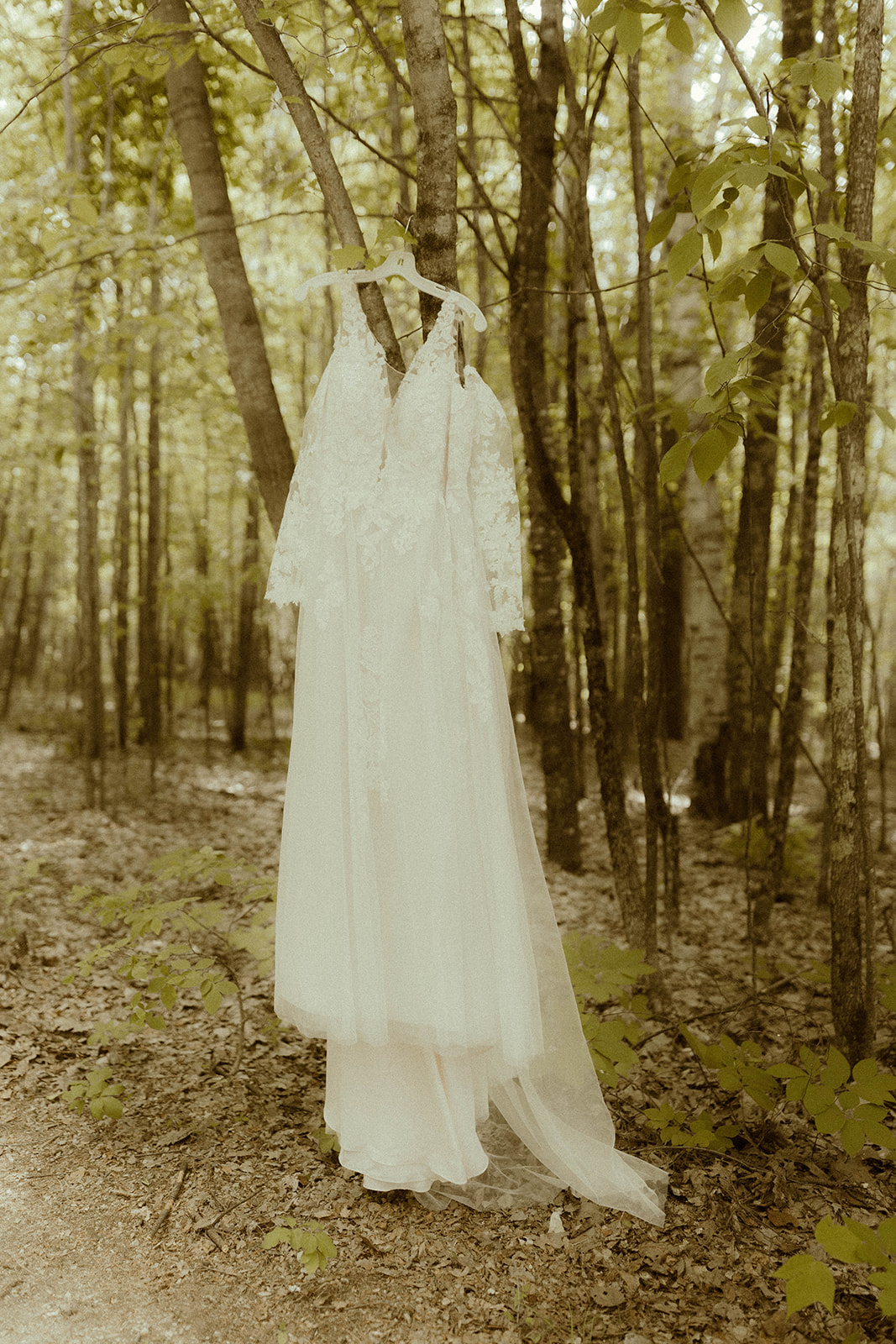 Elegant wedding dress hung in the stunning Adirondack nature