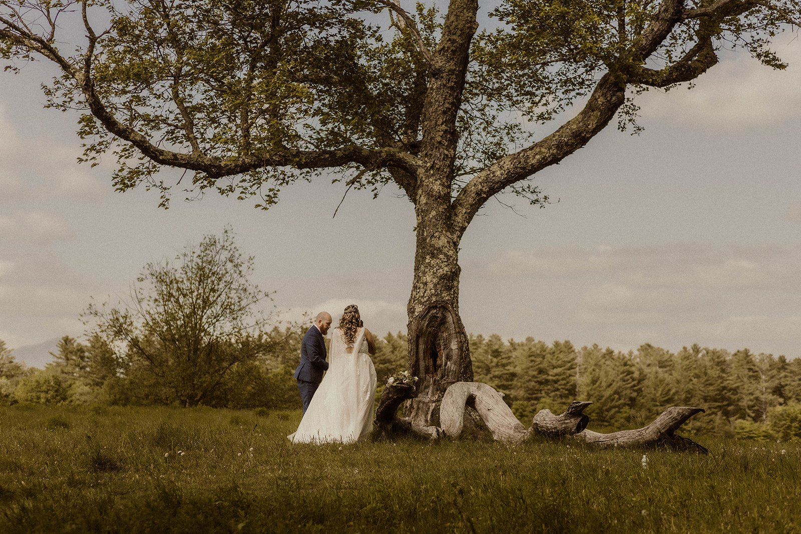 Beautiful bride and groom share an intimate moment in front of the beautiful backdrop of the Adirondack mountain