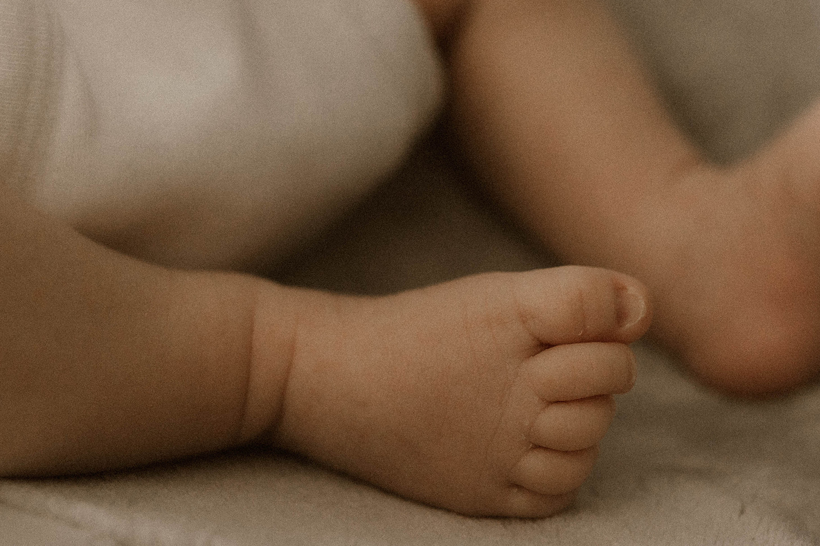 A detail shot of a newborns tiny foot during his in home new born photo session