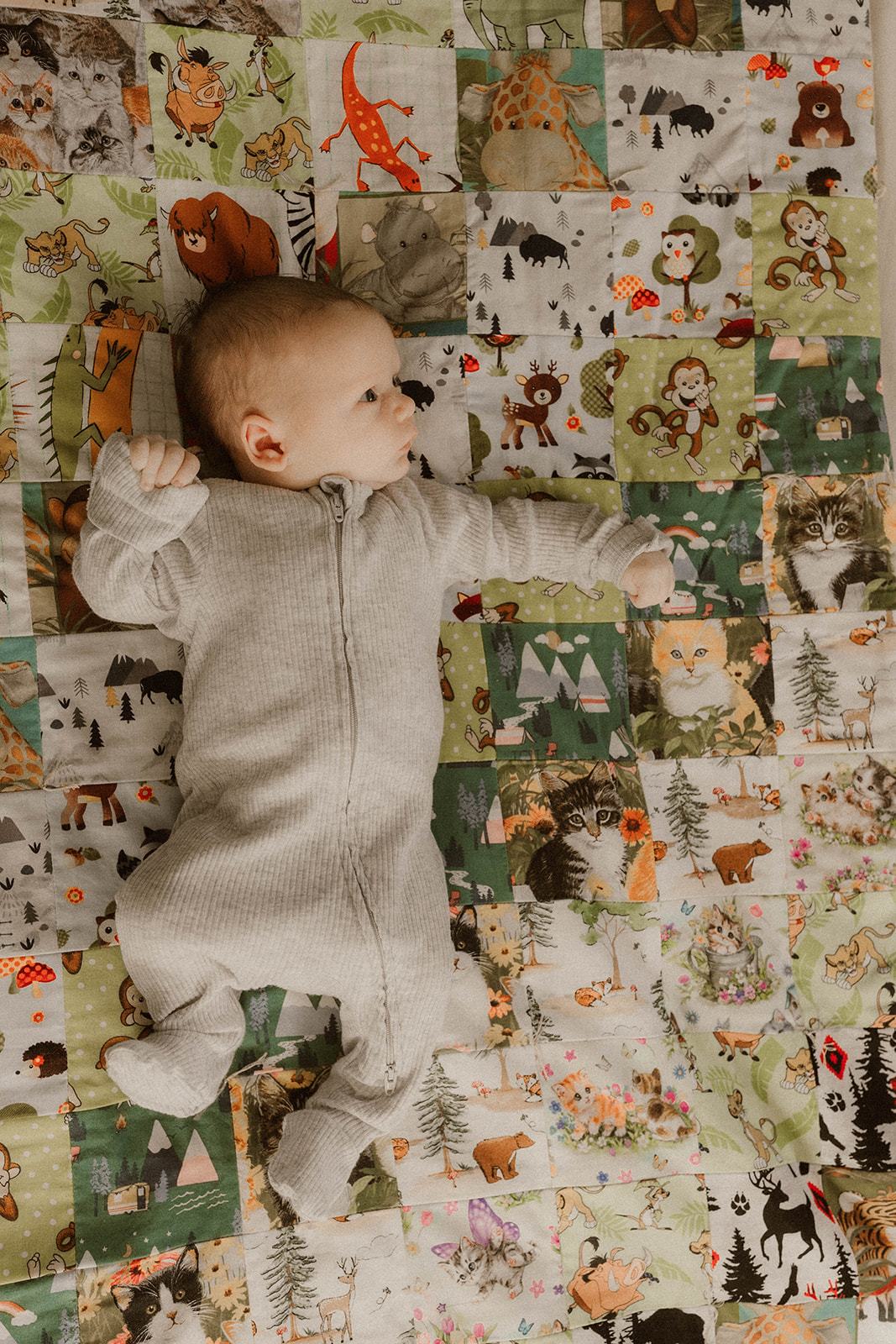 A new born on his blanket during an In Home Newborn Photography session