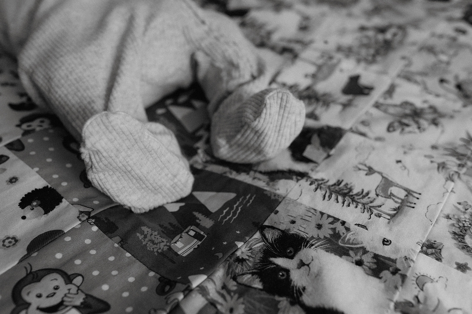 A black and white photo of a New born on his blanket
