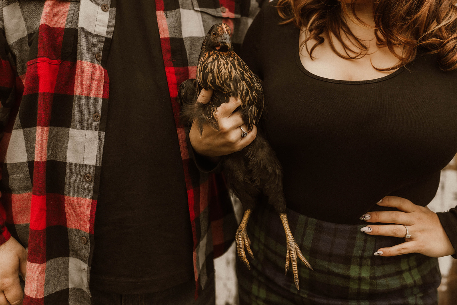 Stunning couple pose together with their chicken during their farm engagement photos